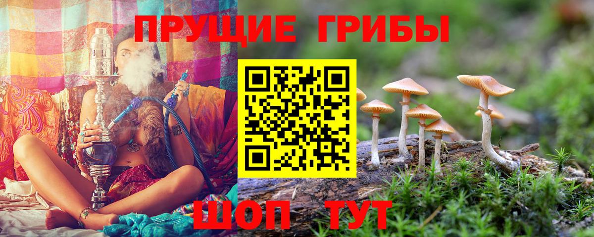 Галлюциногенные грибы мицелий Артёмовский